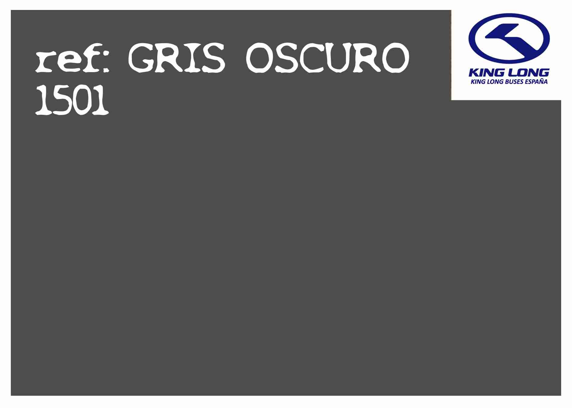 GRIS OSCURO-1501
