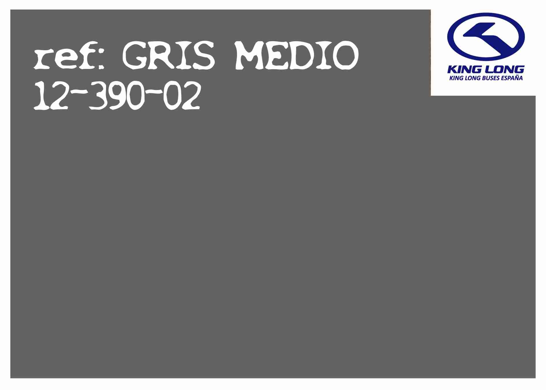 GRISMEDIO12-390-02